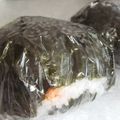 きらり流れ星's cooksnap of when they made **自家製鮭☆そぼろ**.