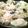 夕星　橋姫's cooksnap of when they made 餃子.