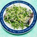 tokotann's cooksnap of when they made 野菜も薬味もたっぷり！かつおのたたき☆.