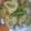 モンスター29's cooksnap of when they made 冷凍野菜で超簡単☆筑前煮！.