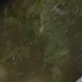 MULA's cooksnap of when they made 餃子の皮でワンタン風スープ.