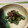 たっぷりみかん's cooksnap of when they made えのきとししとうの生姜醤油あえ.