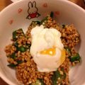 gomaneko's cooksnap of when they made 簡単☆ｵｸﾗ納豆丼.