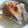 riohei's cooksnap of when they made 我が家の豚汁＊塩麹＊.