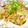 ノゾミーる's cooksnap of when they made 我が家の定番♪野菜炒めだれ.