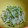 モニート's cooksnap of when they made 簡単！もやしときゅうりとニラのナムル.