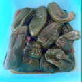 ｴﾑ子's cooksnap of when they made ししとうの大量消費　梅煮.
