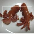 あぎなlife's cooksnap of when they made お弁当に☆イカさんウインナー.