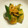 Nya6nya6's cooksnap of when they made 簡単すぎる！きゅうりの生姜醤油漬け.