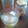 ♪ともょん♪'s cooksnap of when they made 果実酢#2ｵﾚﾝｼﾞ紅茶/簡単3:2:2.