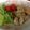 Nanae1009's cooksnap of when they made 簡単！オニオン漬けチキンソテー　その2.