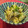 よっしゃん's cooksnap of when they made 新ごぼうとかいわれのサラダ.