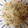 はじゅみまま's cooksnap of when they made 塩豚と海老のピラフ**炊飯器.