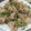 ひんべえ's cooksnap of when they made 豚こま肉とピーマンのお手軽スタミナ炒め.