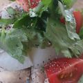 dollyj's cooksnap of when they made 昆布茶でつくる鶏肉と大根のうま塩煮.
