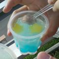 suzu_nyan's cooksnap of when they made きらきら七夕ゼリー.