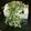 nyanyao703's cooksnap of when they made 山形　「だし」.