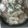サーフブレイド's cooksnap of when they made ハマグリの酒蒸し♪.