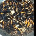 yasukova's cooksnap of when they made ひじきの煮物.