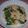 Jock's cooksnap of when they made さっぱり★梅レタス炒飯.