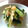 ４５９０'s cooksnap of when they made きゅうりの梅おかか和え.
