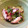 のんのんちゃん☆'s cooksnap of when they made ♦たこきゅう（蛸と胡瓜 茗荷の酢の物）.