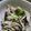 りゅるまま's cooksnap of when they made えのきの塩昆布和え.
