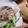 ラブザロード's cooksnap of when they made 豚しゃぶぶっかけきしめん、胡麻だれで☆.