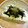 ガッちやん's cooksnap of when they made 簡単！ しそ冷奴 韓国風.