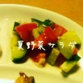 しゅうゆうけいはる母's cooksnap of when they made 完熟トマトときゅうりのサラダ.