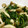 ラブトマト's cooksnap of when they made ほうれん草としめじのソテー.
