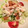 sleepfish's cooksnap of when they made ささみの棒々鶏.