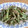 pikomari's cooksnap of when they made アスパラのゴマ和え～柚子胡椒風味～.