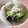 のち姫's cooksnap of when they made 青梗菜のナムル～レンジで簡単～.