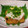 あきちゃぴ's cooksnap of when they made 厚揚げのとろりんおろしがけ.