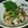 ポップカラー's cooksnap of when they made 鰹の甘辛煮.