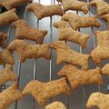 びすこのこ's cooksnap of when they made ＊ノンバター・全粒粉クッキー＊.