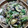♡Catherine's cooksnap of when they made 簡単豚肉となすのごま炒め*.