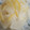rika125's cooksnap of when they made ヘルシー！大根とゆずのさっぱり漬け.