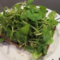 PARNELL's cooksnap of when they made クレソンのオープンサンド.