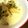 サトモユリア's cooksnap of when they made 鮭とほうれん草の味噌クリーム煮.