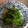 ぶたりんご's cooksnap of when they made ◆超簡単ししとう炒め◆.