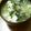 ayafuyu's cooksnap of when they made 鳥ハムついでに絶品スープ！！.