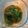 みぎわ's cooksnap of when they made 大葉の醤油漬け.