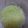 sanama0826's cooksnap of when they made 【離乳食 中期】すりおろしりんご煮.