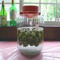 シューひろちゃん's cooksnap of when they made おばあちゃん直伝！おいしい梅酒。.