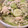 мДIκO's cooksnap of when they made 【簡単】胡瓜とササミの柚胡椒マヨネーズ.