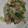 ラリー＆サラ's cooksnap of when they made 豚肉と青梗菜の炒め物.