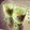 tonryuuki's cooksnap of when they made キウイを使ったスムージー.