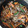 みー＆ひーママ's cooksnap of when they made はるさめのオイスターソース炒め.